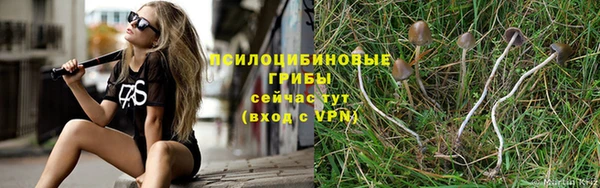 MDMA Всеволожск