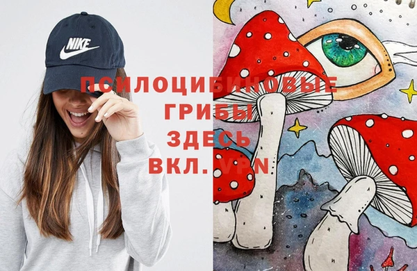 spice Вуктыл